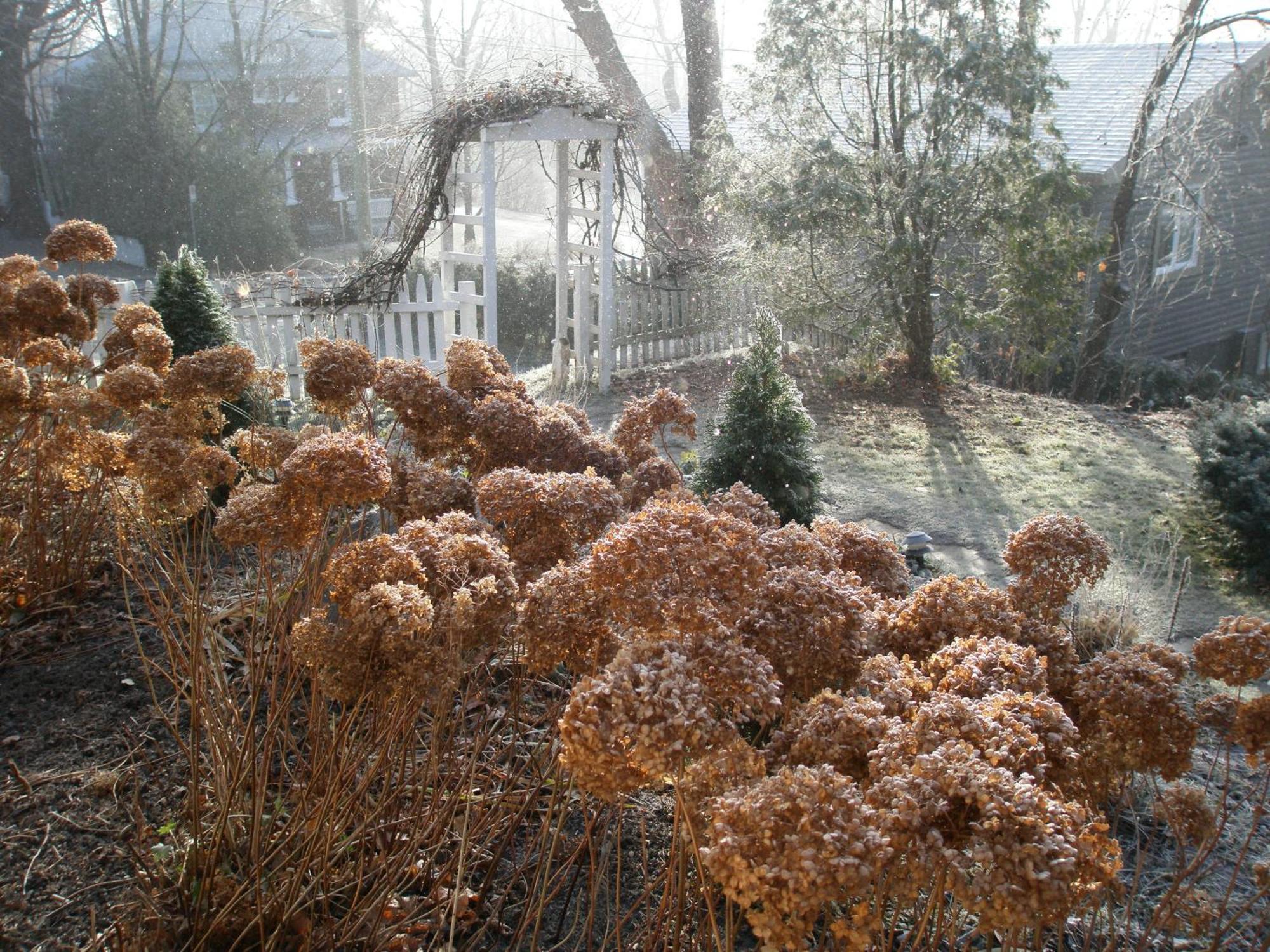 O Bois Dormant B&B Magog ภายนอก รูปภาพ