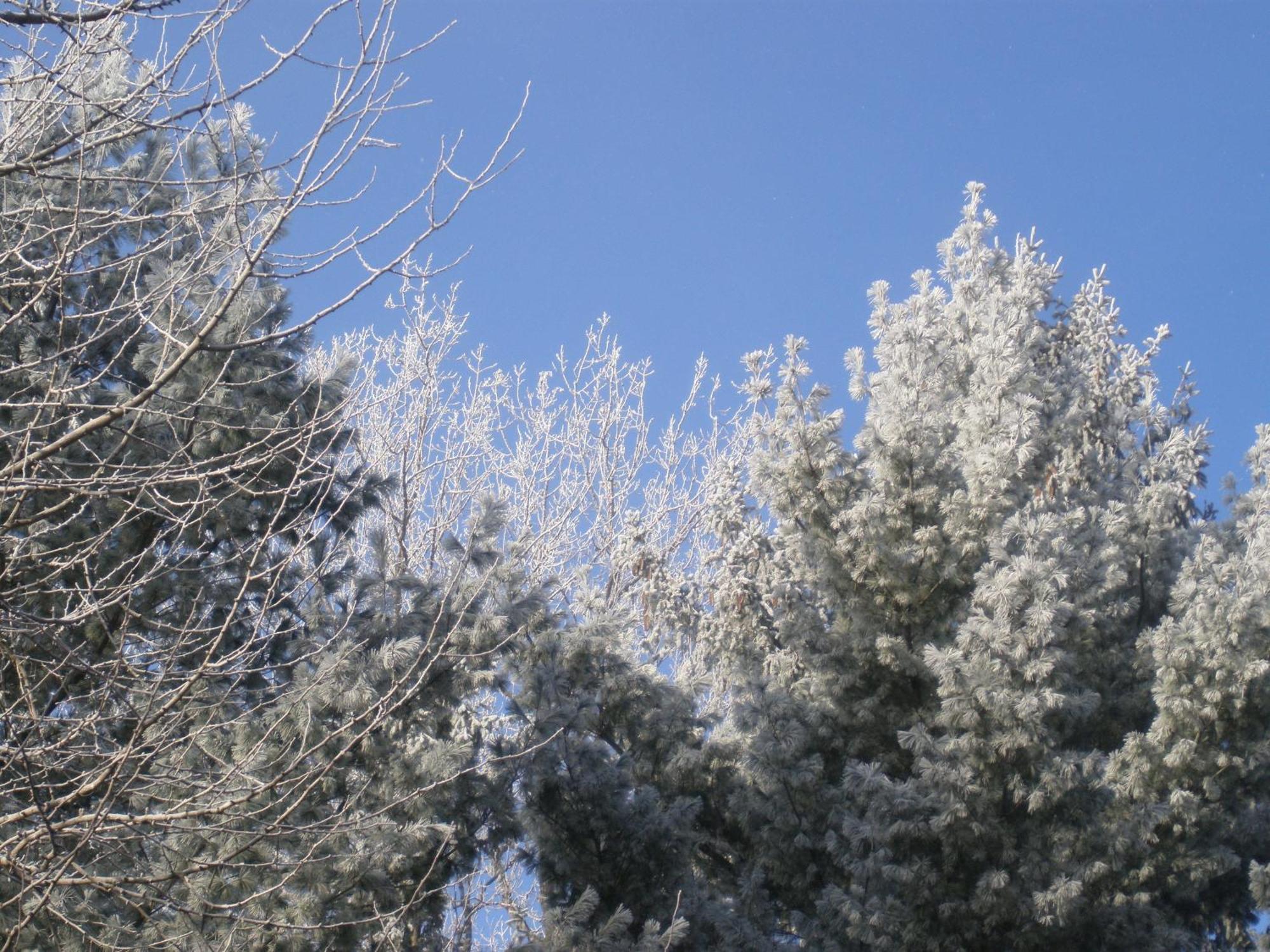 O Bois Dormant B&B Magog ภายนอก รูปภาพ