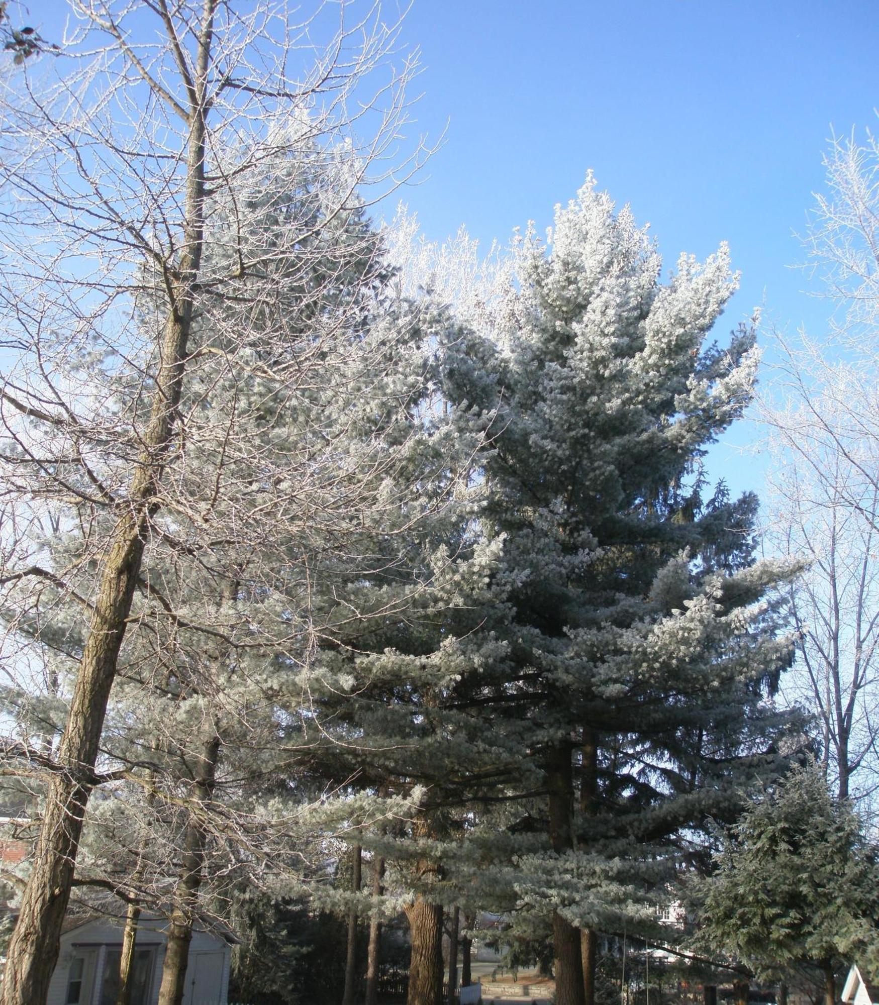 O Bois Dormant B&B Magog ภายนอก รูปภาพ